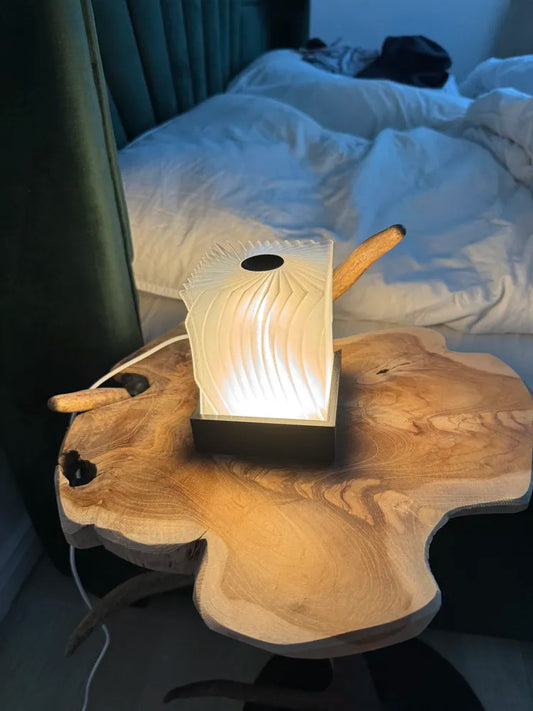Lampe organique (lampe fournie)